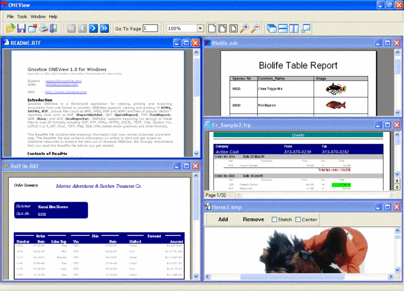 ONEView Screenshot